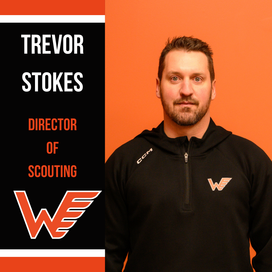 DIRECTOR OF SCOUTING